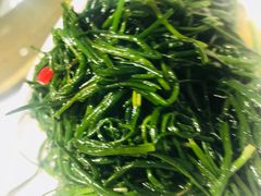 -丝路天山酒店(国际大巴扎店)