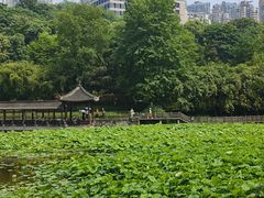 -龙头寺公园