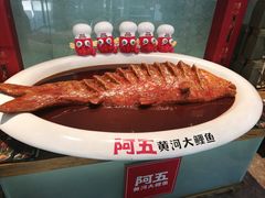 -阿五黄河大鲤鱼(英协路店)
