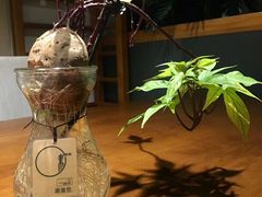 -十二舍·湯物素煮(江泰潤政店)