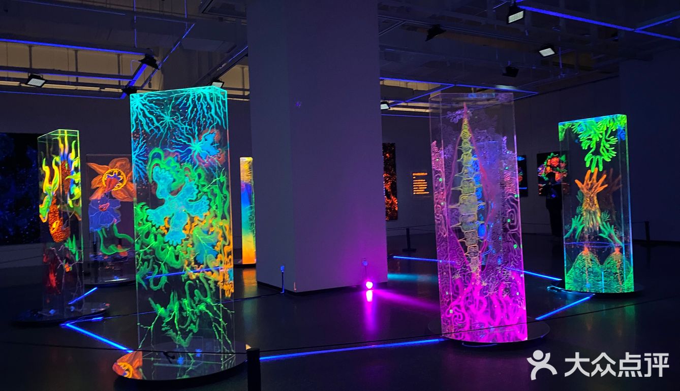 阿雅个展！白夜神话！西安美术馆五一太给力啦！