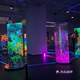 阿雅个展！白夜神话！西安美术馆五一太给力啦！