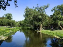 -上海共青森林公园