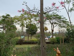 -美的鹭湖探索王国