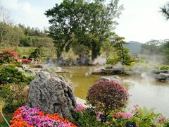 -东莞植物园
