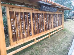 -天屿湖