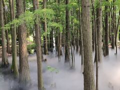 -东湖落雁景区