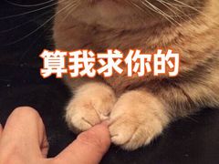 -佳雯宠物医院(四明中路分院)