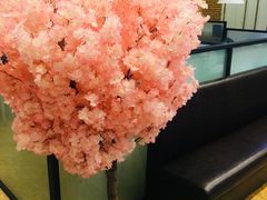 -后宫私房菜(汇客美食娱乐广场店)