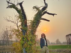 -安德鲁户外烧烤帐篷营地(马泉营店)