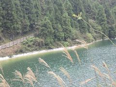 -武陵山森林公园