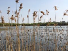 -大兴滨河森林公园