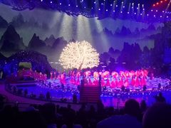 -珠海横琴长隆《卡卡虎奇遇记》