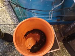 -粗粮人家·东北菜(洋桥店)