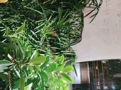 -蓉客成都火锅·招牌麻辣牛杂·特色香辣蹄花(凌水店)