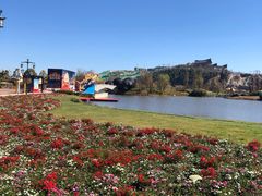 -呈贡滇池生态湿地公园