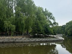 -黛秀湖公园