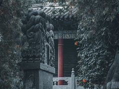 -关林