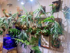 -Rabbit Cafe私房西餐甜点咖啡(栖霞路店)