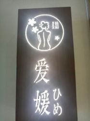 -松和日式美容整骨