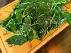 -庭院小酌(瑞莲街店)