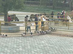 -无锡动物园·太湖欢乐园
