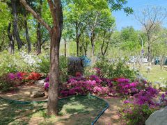 -羊亭河湿地公园