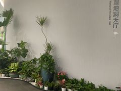 -中国湿地博物馆
