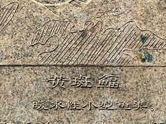 -黑石礁公园
