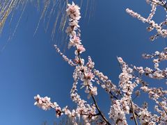 -朝阳公园