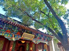 -护国法轮寺