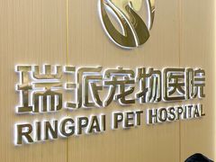 -瑞派康怡24h宠物医院·犬猫医疗中心·微创绝育(瑞景分院)