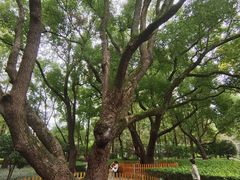 -徐家汇源景区-衡山公园