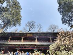 -潭柘寺景区