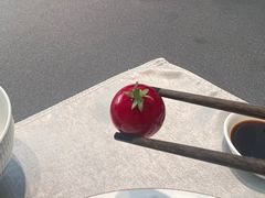 -沈灶河豚宴·河豚融合餐厅(汉中路店)