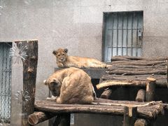 -西安秦岭野生动物园