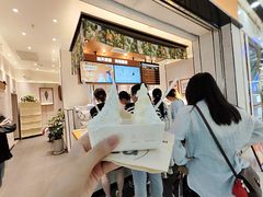 -野人先生Gelato(上海长宁龙之梦店)
