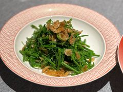 -柿合缘新京菜(静安嘉里中心店)