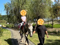 -宁波九龙湖开元度假村