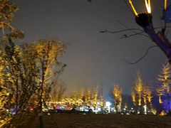 -三圣花乡旅游区