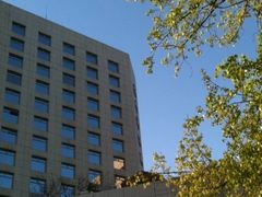 这边风景独好-亮马河饭店翠雅咖啡厅