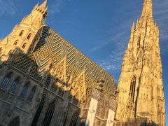 -斯蒂芬主教座堂(Stephansdom)
