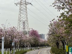 -广东花都湖国家湿地公园