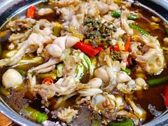 -蛙小侠(卓悦里店)