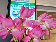 -眉州东坡(团结湖店)