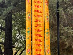 -函谷关历史文化旅游区