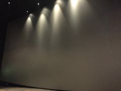 -英皇电影城(英皇集团中心IMAX店)