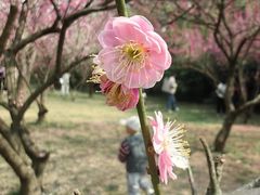 -蜀冈西峰生态公园