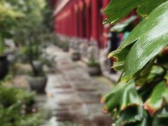 -南岳明心寺