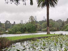 -墨尔本皇家植物园
